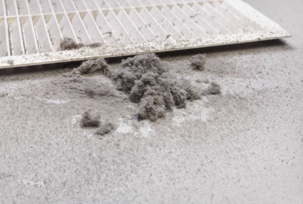 Best Affordable HVAC Duct Cleaning  in Hayden, ID
