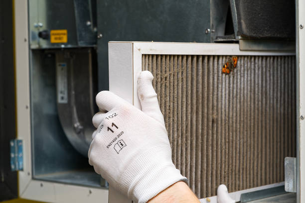 Best Emergency Air Duct Cleaning  in Hayden, ID