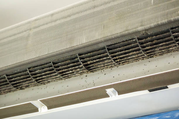 Best Air Duct Cleaning Near Me  in Hayden, ID